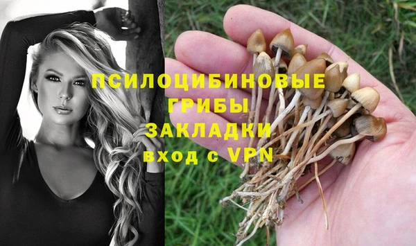 шишки Баксан