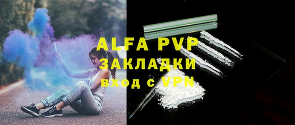 шишки Баксан