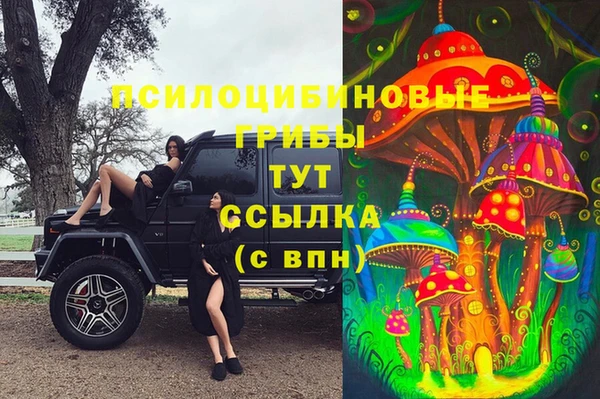 стаф Покров