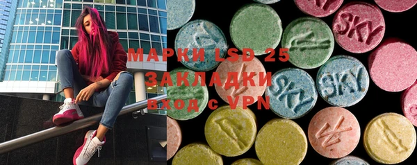 шишки Баксан