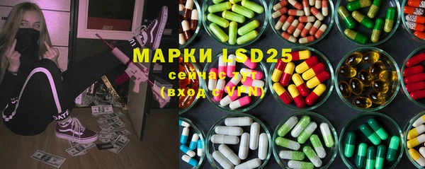 шишки Баксан