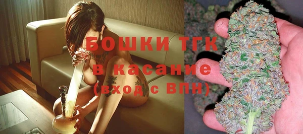 шишки Баксан