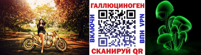 Псилоцибиновые грибы Psilocybe  цены   Кондрово 